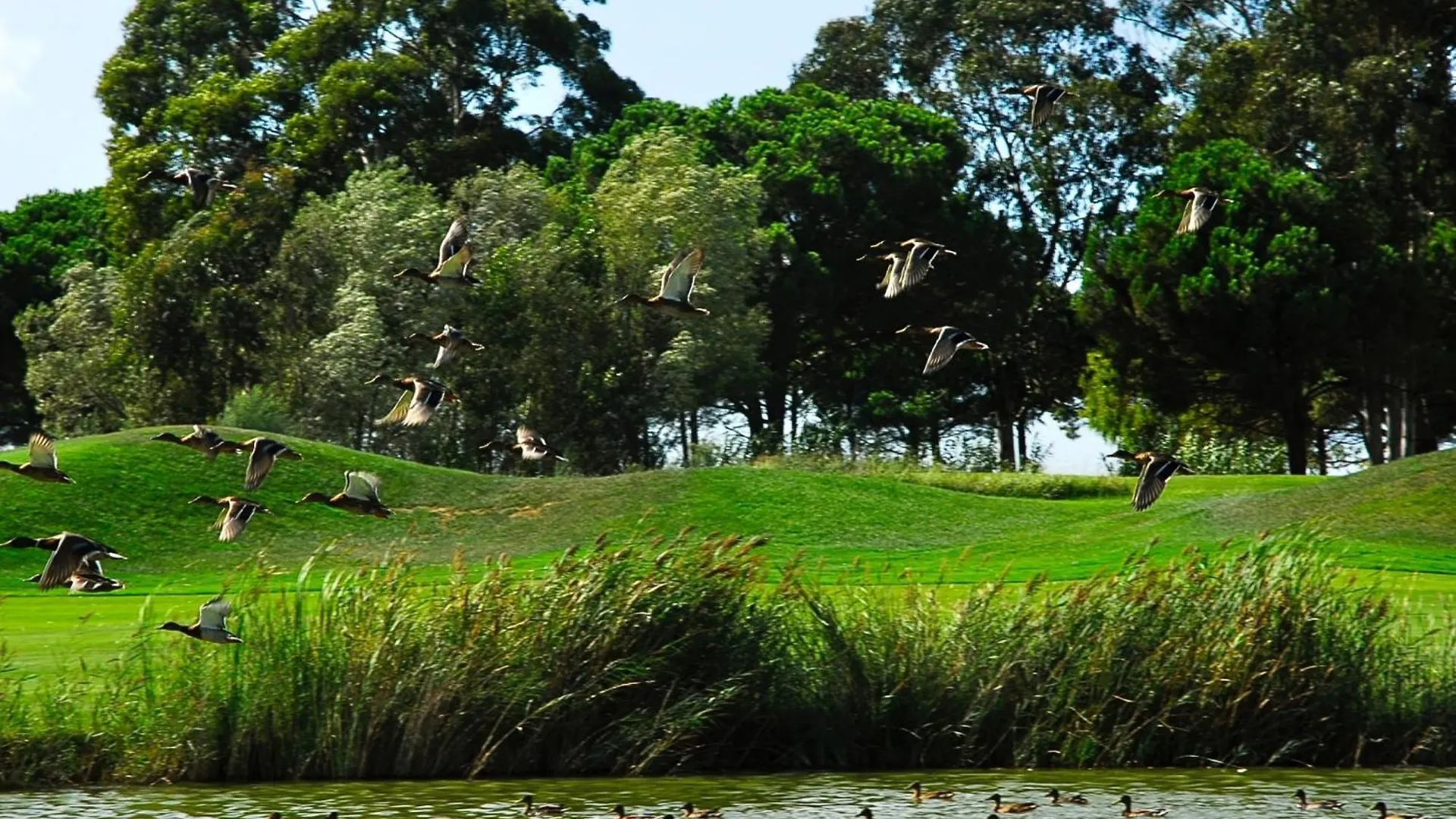 Апартаменты Emporda Golf 30 2-1 Gualta Испания